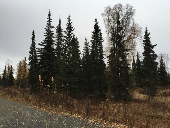 63885 Tailwind Rd, Ninilchik, AK 99639